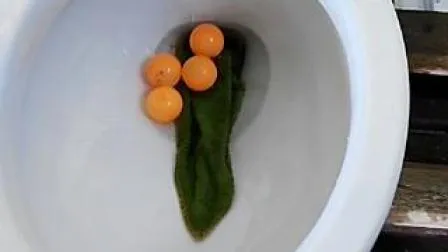 9011e Cheap Upc Elongated Siphonic Two Piece Ceramic Toilet