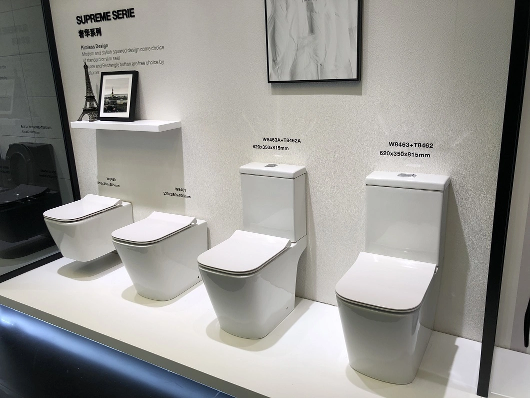 CE Small-Sized Ceramic Rimless Square Wall Hung Toilet in Britain