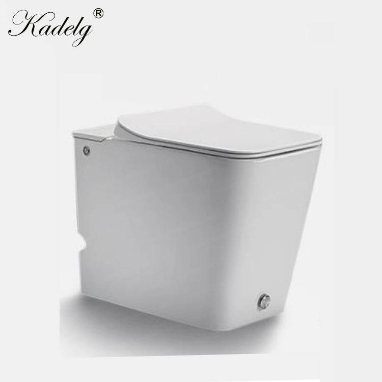 Floor Mounted Tankless Toilet New Design Toilet with CE Certification