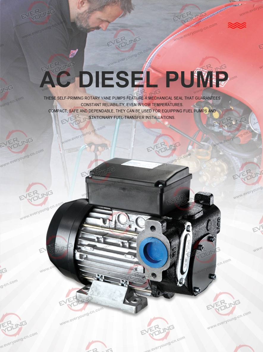 CE Certificate Fuel Transfer Pump Panther 72 AC Diesel Pump 220V 500W 1&quot; Bsp 72L/Min Mobile Refueling Self Priming Electric Diesel Pump Vane Pump