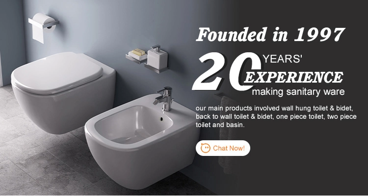 European P Trap Round Ceramic Toilet Rimless Wall Mounted Toilet