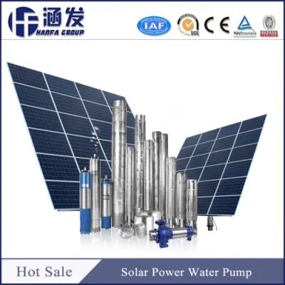 300W 600W Solar Submersible Deep Well Pumps, Solar Water Pump for Garden Irrigation (SC Series)